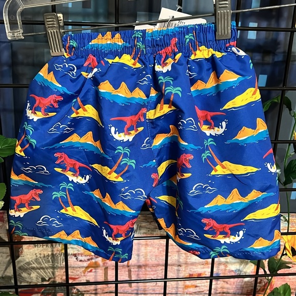 New Momentum Brand Dinosaur Print Boys Swim Trunks (C) - Picture 3 of 4